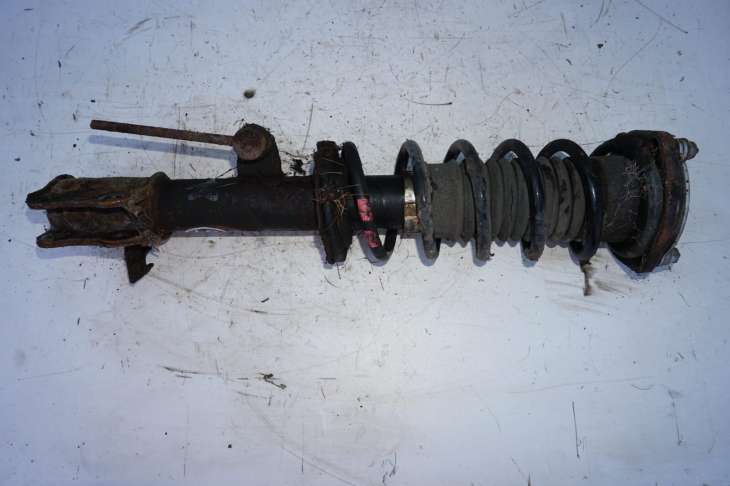 Toyota Mr2 III 2001r Amortyzator Prawy Tył - Image 5