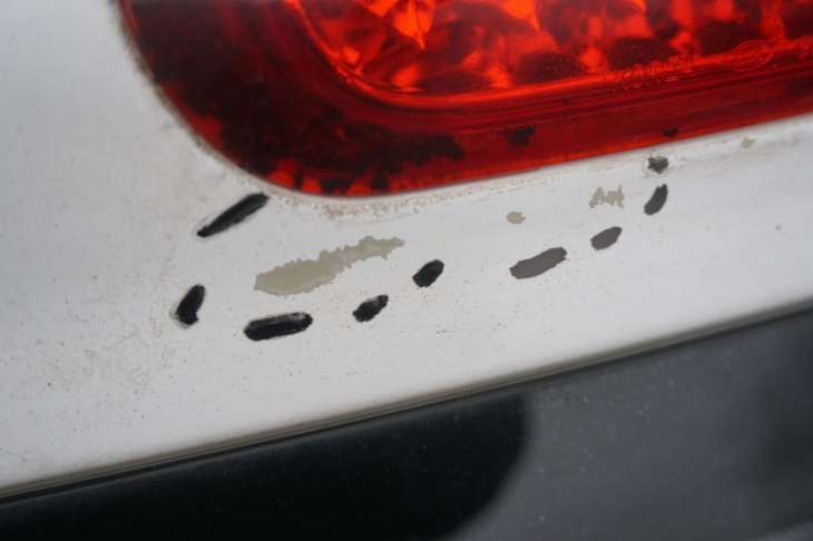 Kia Carens III 2006-2013R Klapa Bagażnika 737001D040 Biała Szyba 871101D011 - Image 3