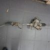 Suzuki Swift Mk6 Przekładnia Kierownicza Maglownica Silniczek 48580-63j51