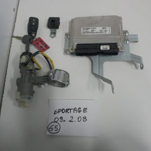 Kia Sportage 2009 2.0b 5wy1h09a 39103-23171 39121-23071 Nr 65
