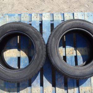 Opony Evergreen Eh20 195/65r15